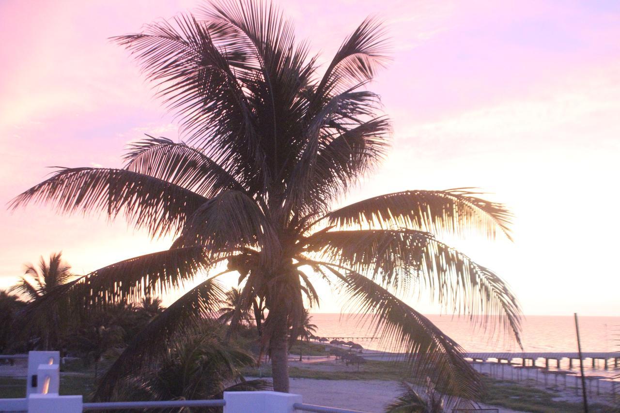 Hotel La Casa Cielo เอลกูโย ภายนอก รูปภาพ