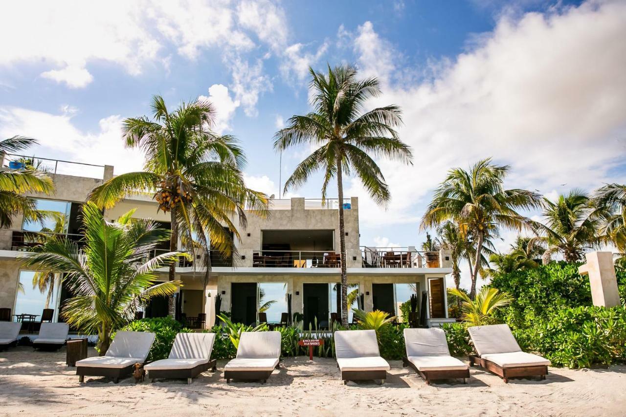 Hotel La Casa Cielo เอลกูโย ภายนอก รูปภาพ